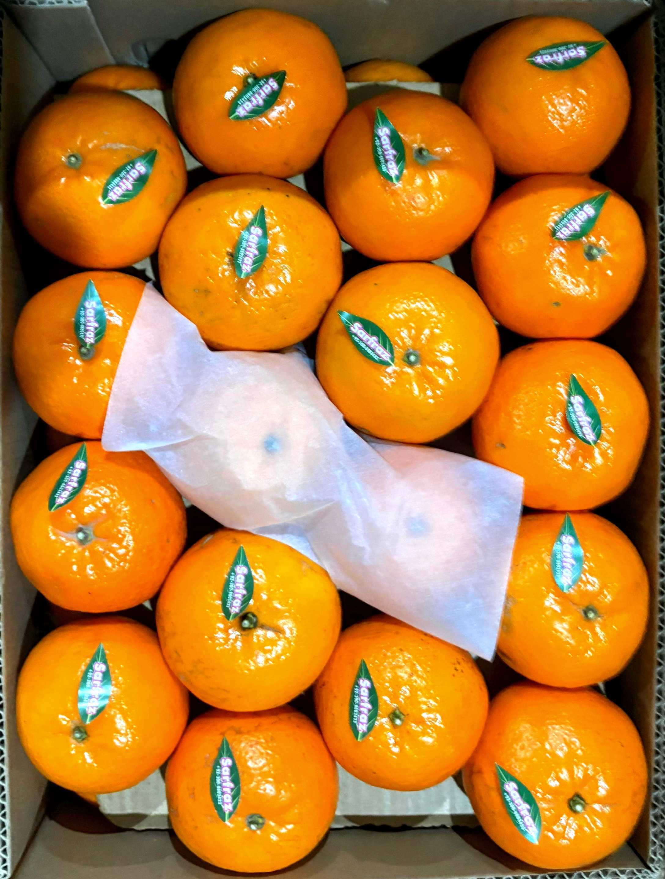 Fresh Oranges (10 Kilograms)